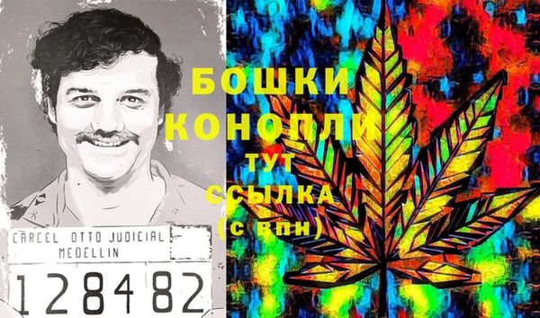 стаф Арсеньев