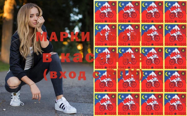 стаф Арсеньев
