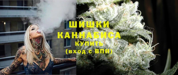 стаф Арсеньев