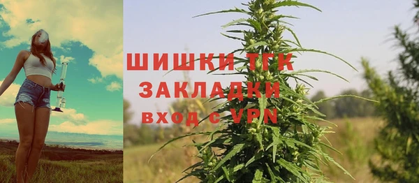 стаф Арсеньев