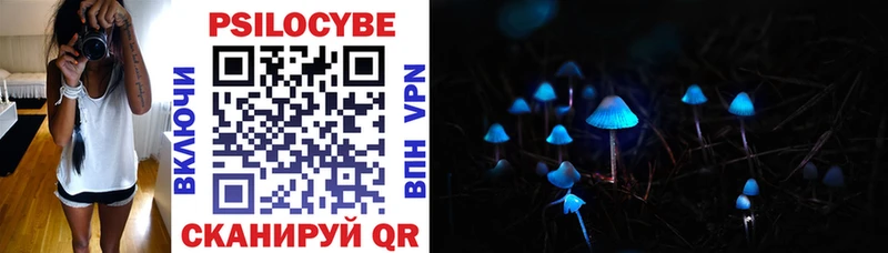 Псилоцибиновые грибы Cubensis  Нязепетровск 